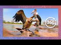African Birds of Prey Scavenge Dead Kudu | Wildlife in 360 VR Time-lapse