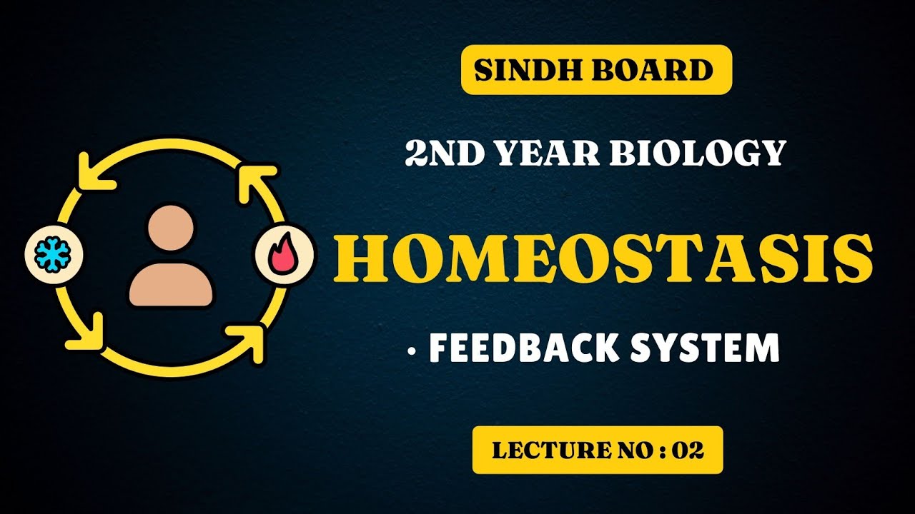 feedback mechanism | homeostasis | chapter 15 | class 12 biology | Sindh board new book
