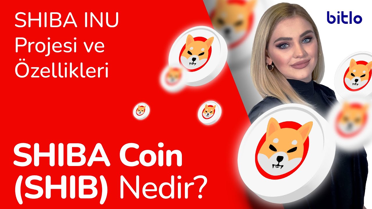 Shiba Inu (SHIB) Nedir? - Bitlo.com