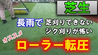 【芝生用転圧ローラー】長雨で芝刈りできない時はローラー転圧