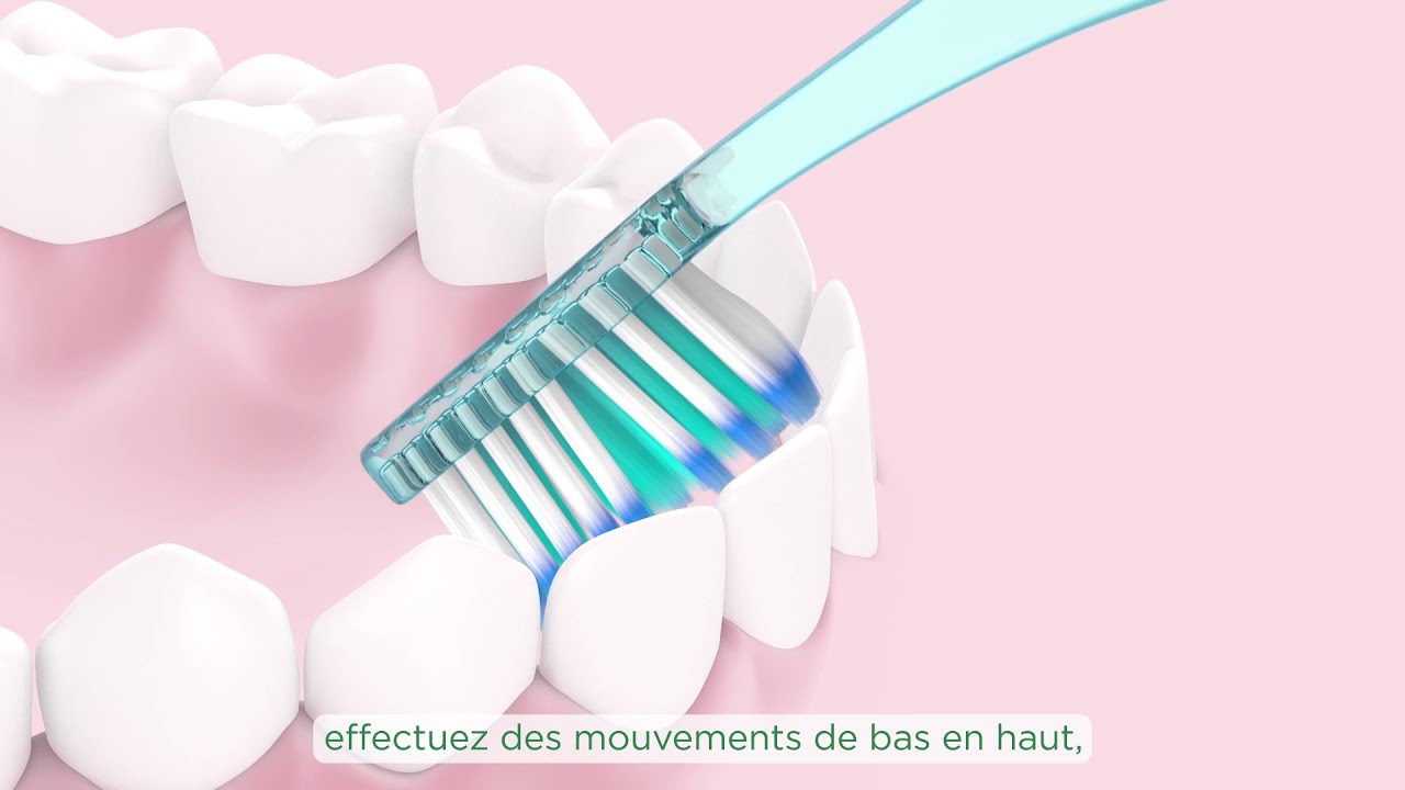 Brosse à dents pliante voyage randonnée, soins buccaux, nettoyage