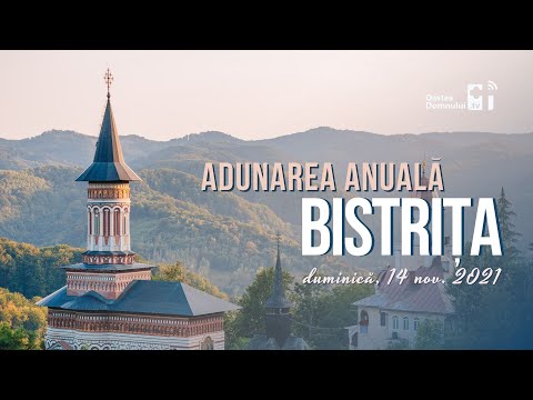 Video: Adunare Neobișnuită De Pește în Acapulco (Mexic)