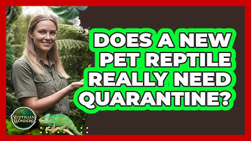 Does A New Pet Reptile Really Need Quarantine?