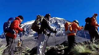 These Amateur Climbers Hike Africa's Tallest Mountain For Charity | Going Wild