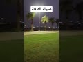 الليل والمطر في حديقة صبياء