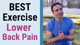 The Single Best Exercise for Lower Back Pain