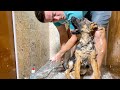 German Shepherd Puppy Hates Bath Time!