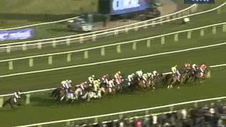 2012 Coral Cup