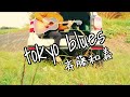 tokyo blues/斉藤和義 ギター弾き語り