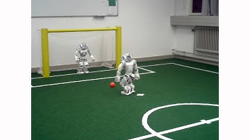 DAInamite Qualification RoboCup 2013