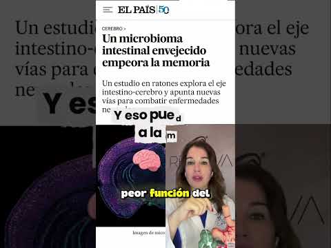 Un microbioma intestinal envejecido empeora la memoria