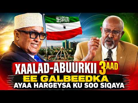 "Sidee Ayey Isu Qabanayaan Waa La Ina Aqoonsaday iyo Waddankii Ayaanu Burburinaynaa?" - Prof Meecaad