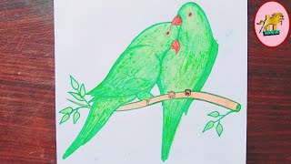 Love birds Drawing|how to draw Love birds|parrot ? Drawing|Drawing birds|colour parrot Drawing#??