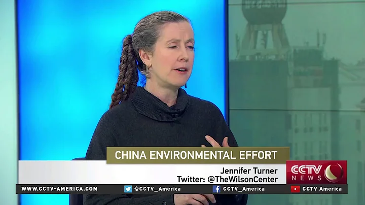 China Environment analyst Jennifer Turner on China's smog plan - DayDayNews