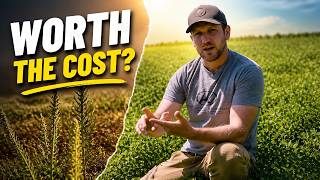 The Truth About Roundup Ready Alfalfa | Is It Worth the Cost