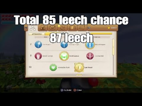 Leech build/leech chance build warrior class