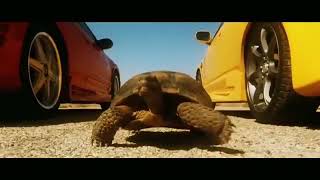 سباق سيارات 🚔نااااار🔥✌على اغنيه يا ليلي يا ليلى 💖❤