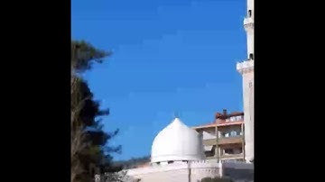 سورة غافر - الشيخ ماهر شخاشيرو
