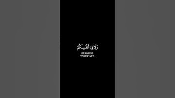 من سورة الحديد || احمد النفيس #القرآن_الكريم #احمد_النفيس #سورة #shots