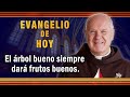 #EVANGELIO DE HOY-Sábado 11 de Septiembre Un árbol bueno siempre dará frutos buenos. #EvangeliodeHoy