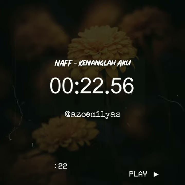 Story wa 30 dtk - Kenanglah aku