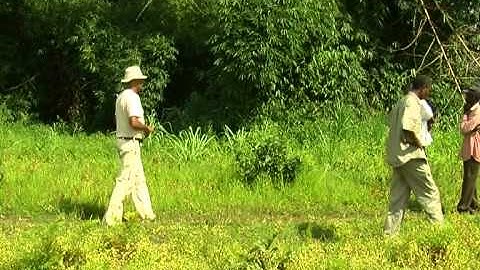 Making money from DRC