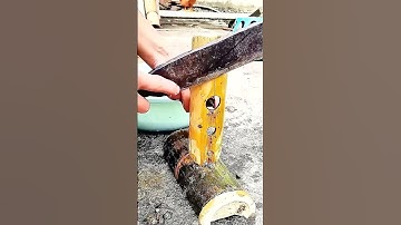 Cutting Snail Tails: Good tools can improve work efficiency