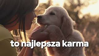 PUPIL Karma Commercial 2025