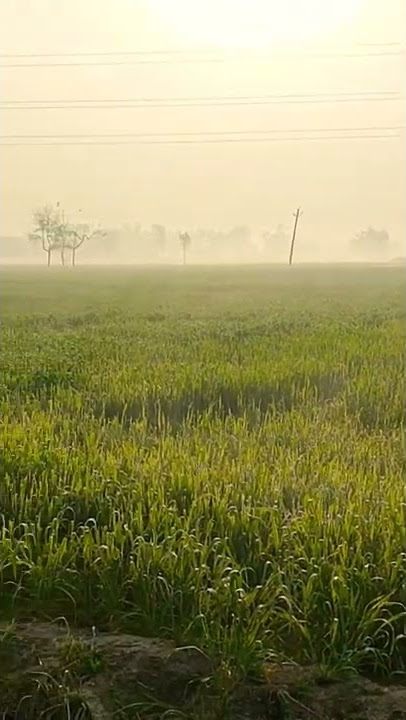 kinna sona desh hai mera