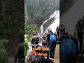 Kodachadri trekking waterfallsounds nature forest  watersounds