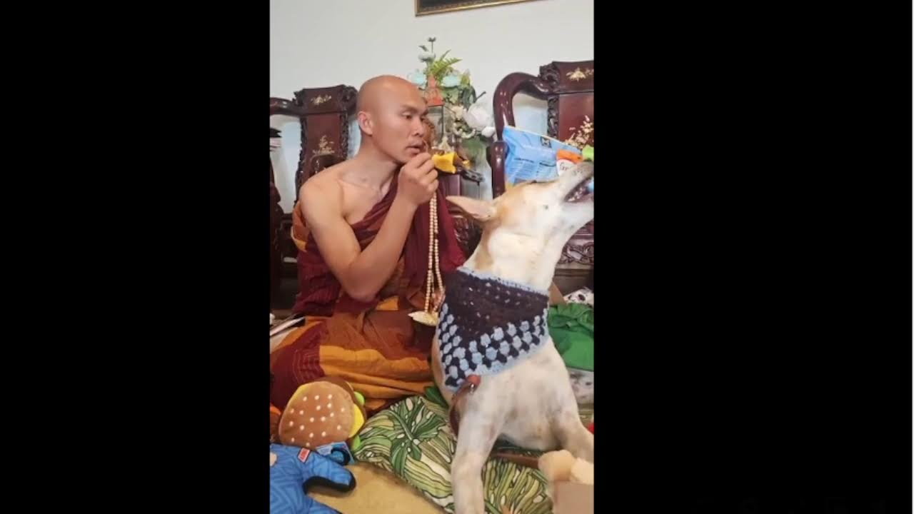 Tears fill my eyes when every video ends