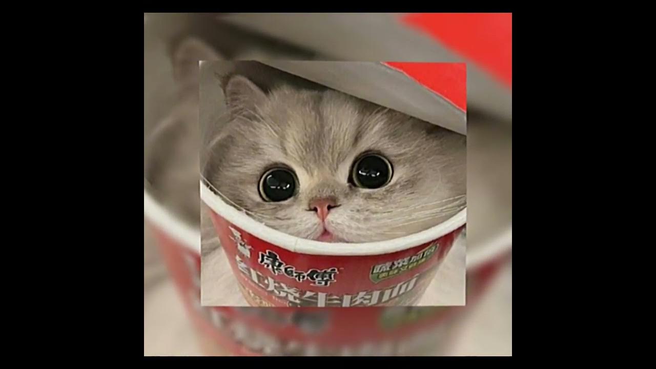 песня me gusta speed up