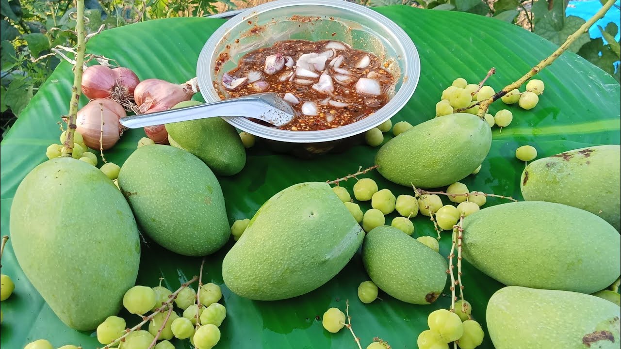 วันนี้ได้เมนูแก้ง่วง ส้มบักม่วงคุ้ยแจ่วปลาแดกตอนแซ่บๆ