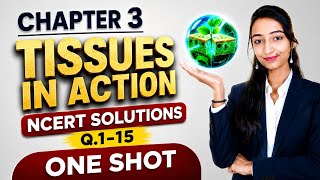 Tissues in Action NCERT Solutions 🔥 Q. 1-15 NEW NCERT 2026