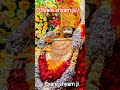 #jayshreeshyam❤️