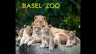 Zoo Basel - Hayvanat Bahçesi - İsviçre