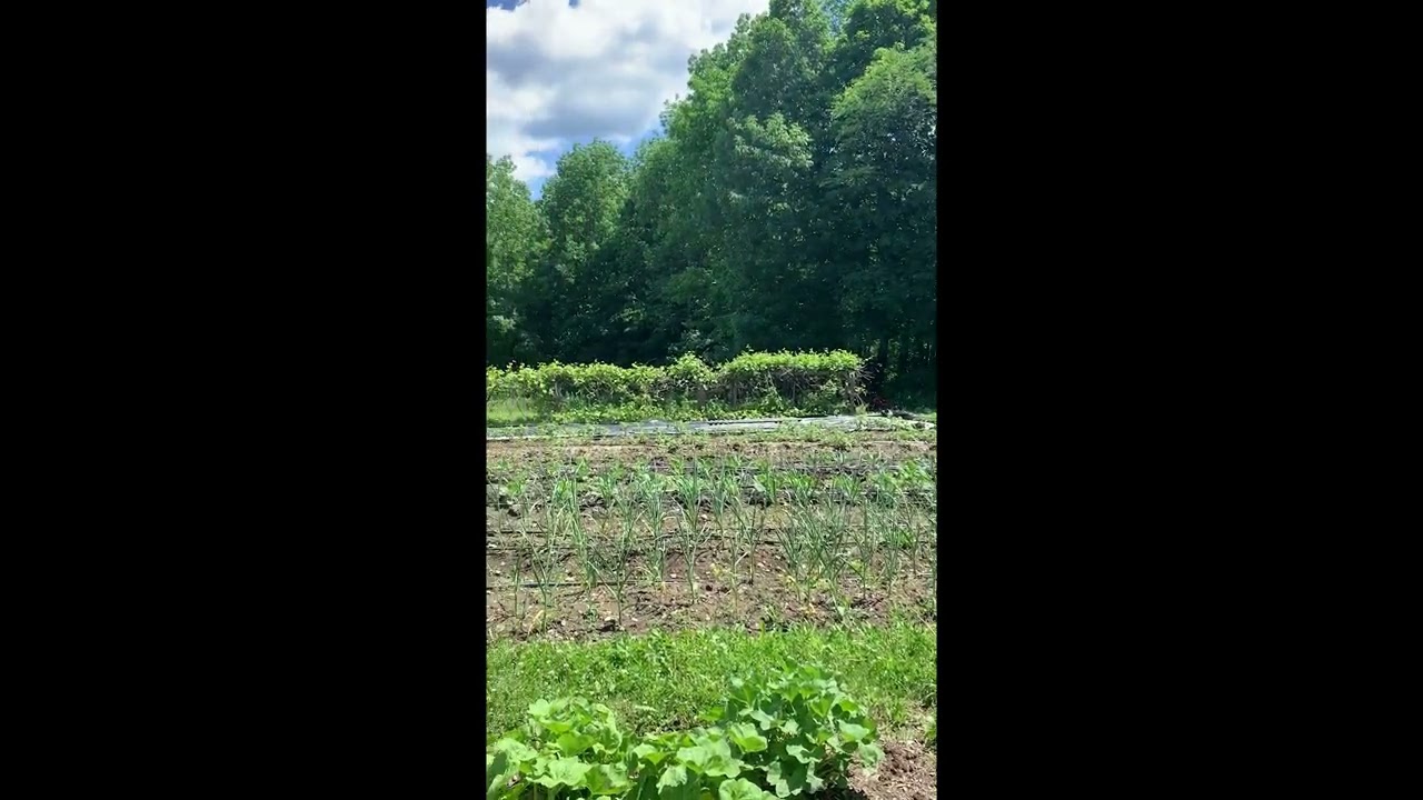 News From the Farm: From Field to Market