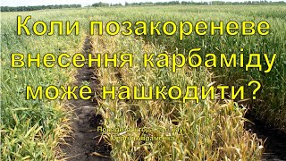 Коли карбамід може нашкодити?