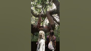 Good Trip| short film | travel video | Trippy