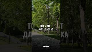 Топ-5 мест для пикника в Ташкенте 🌳 #anons
