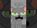 die armen Katzen 🐱