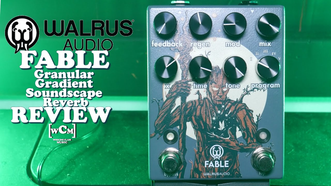 Review of the brand new Fable Granular Soundscape Delay (Walrus
