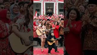 Funny Monkey Playing Guitar in Front of the Palace After Independence Day Ceremony Indonesia #monkey