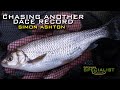 Chasing another dace record  simon ashton  drennan specialist