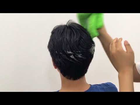 動画