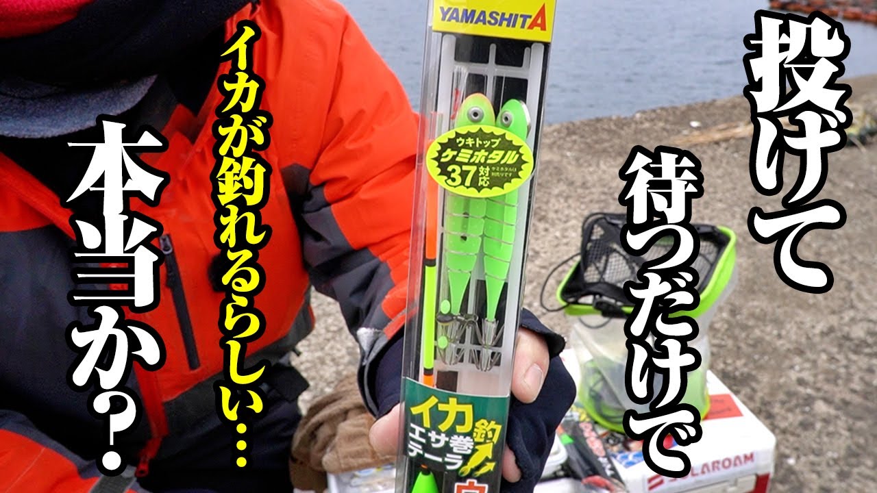 【突然の入れ食いフィーバー】投げて待つだけのお手軽イカ釣り仕掛けに初挑戦。本当に釣れるか疑い始めたその時…