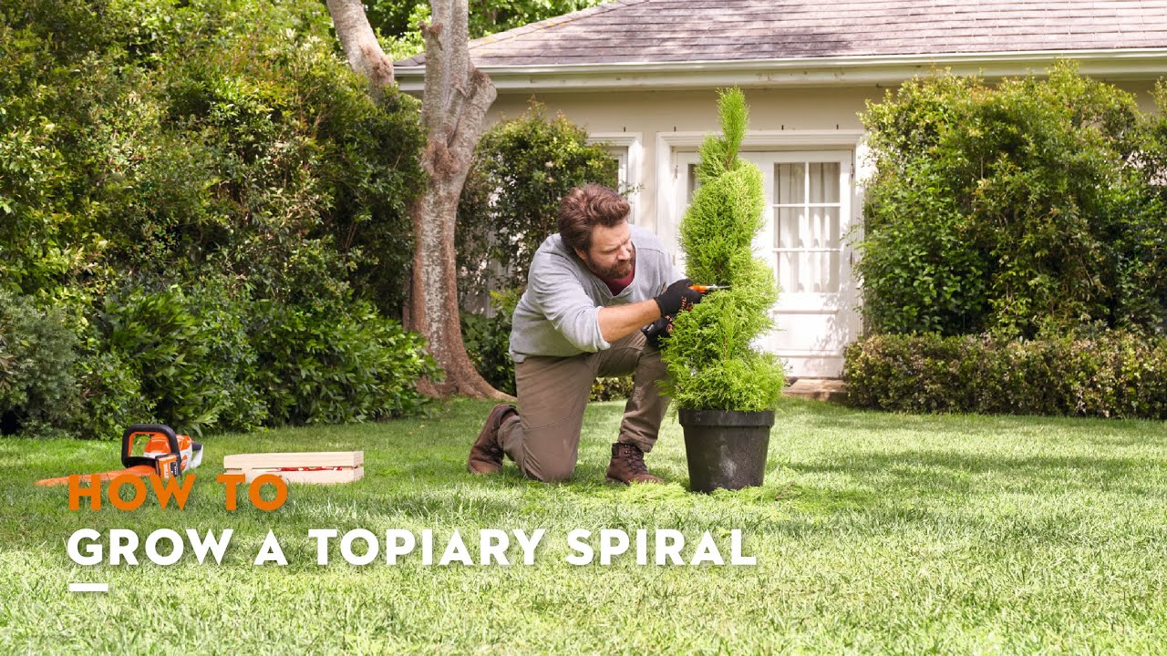 How to grow a topiary spiral | STIHL Tutorial