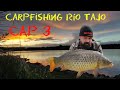 CarpFishing cap. 3 ( Río Tajo )