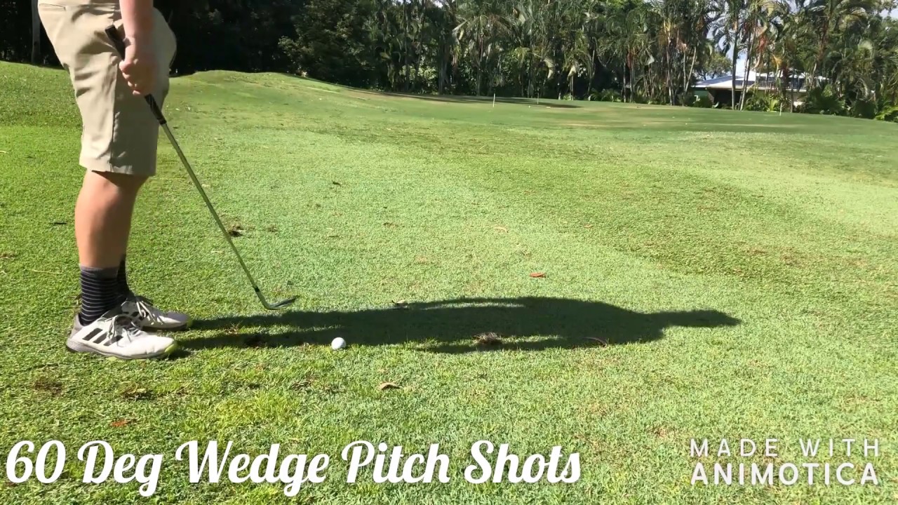 Stinger Golf Pitch Shots 60 Degree Wedge YouTube
