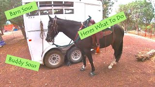 Riding A Horse With Separation Anxiety